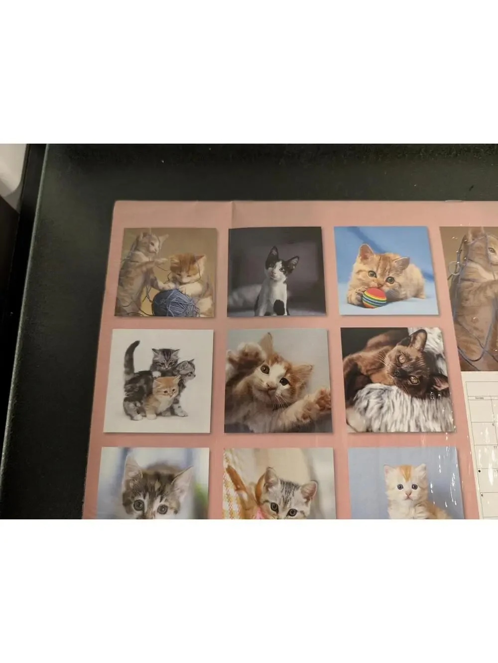 2026 Kittens 12-Month Wall Calendar - 12